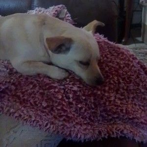 Meet your Posher, Marika